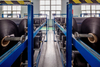 Thermal Transfer Ribbon Jumbo Roll